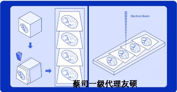 海南蔡司海南扫描电镜